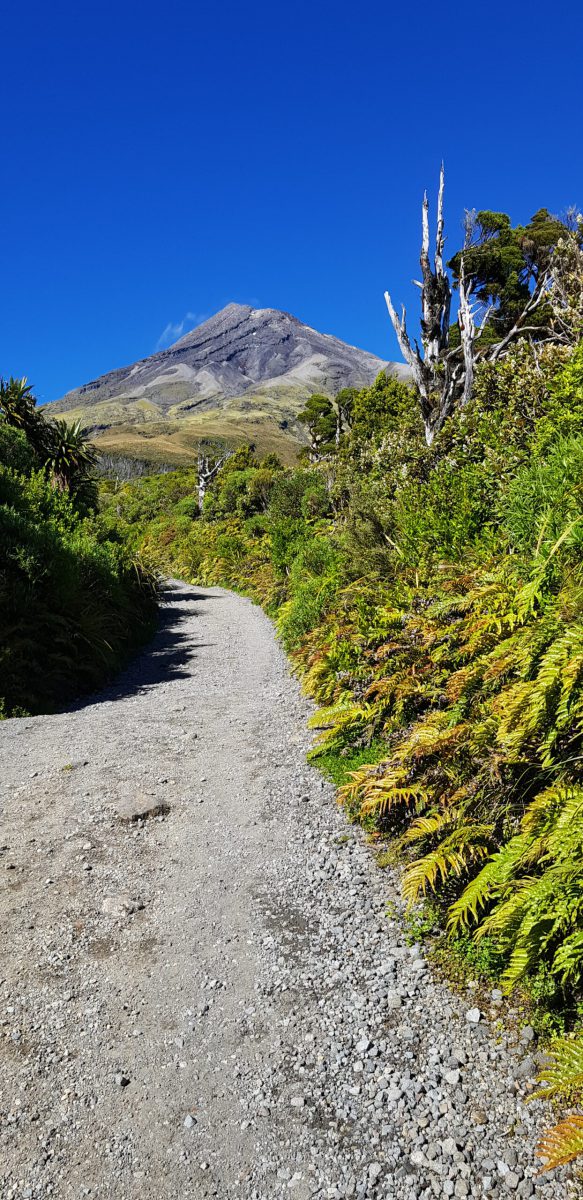 20250109_093047_NewZealand-scaled
