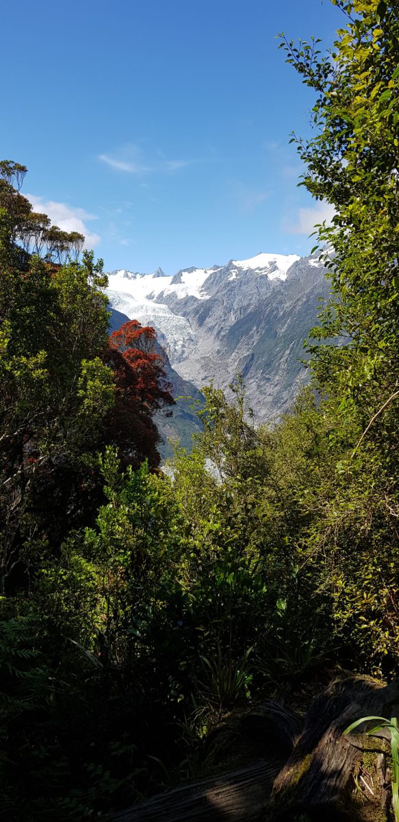 20250119_112900_NewZealand-scaled