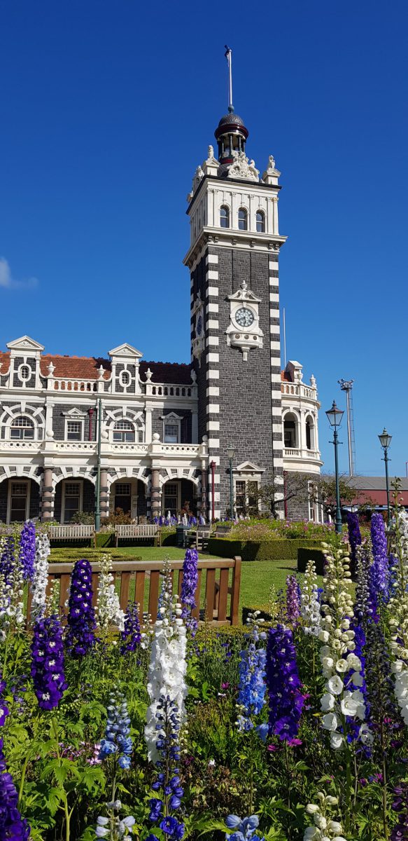 20250121_174127_NewZealand-scaled