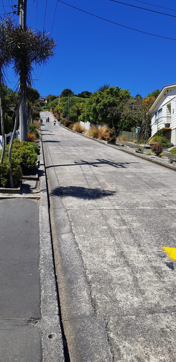 20250122_130731_NewZealand-scaled