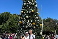 20260106-Christchurch-Christbaum