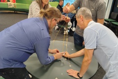 Team-IPP-in-action-at-PwC
