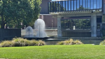 Our first week in Christchurch