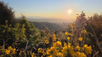 Frühlingsgefühle – Bilder über Bilder